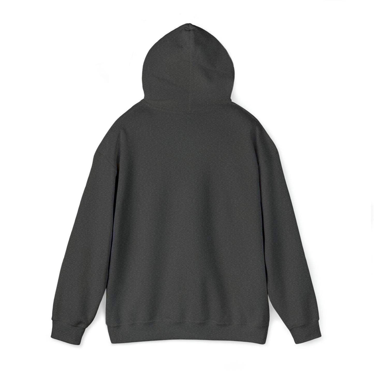 Introducing our Hip-Hop Panda Bear Hooded Sweatshirt